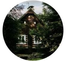 Rustic wooden cabin surrounded by trees